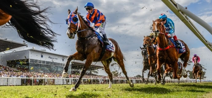 Geelong Cup 2025 Geelong Cup 2025