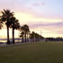 Steampacket Gardens | Geelong